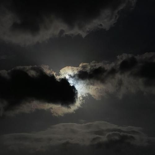  آهای قرنیه مشکی گرد چاویلد ای دله کشتی