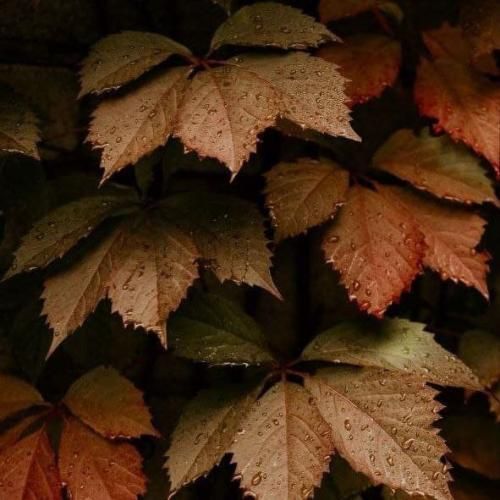  باز دوباره تک و تنها خارج از نگاه دنیا