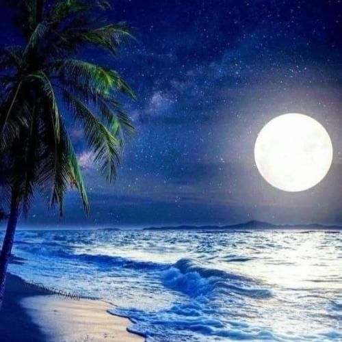 روزگار دلدادگی