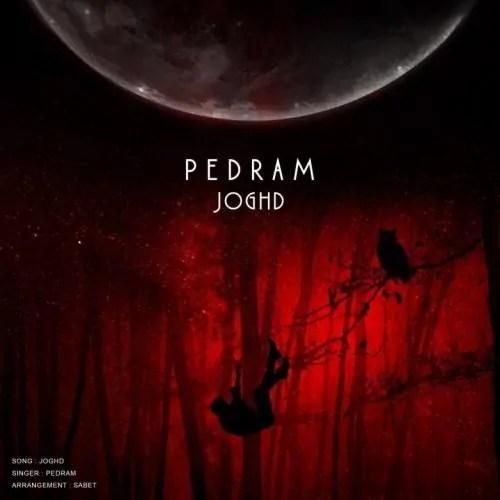 پدرام حیدری جغد