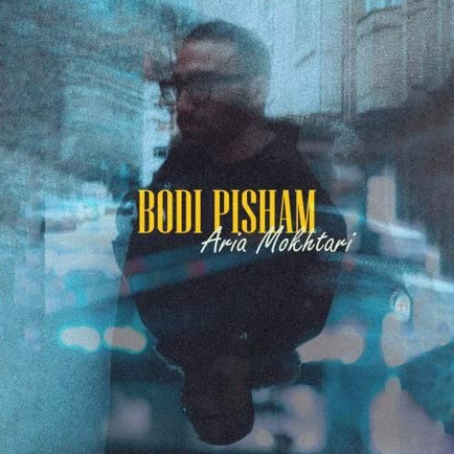 آریا مختاری بودی پیشم