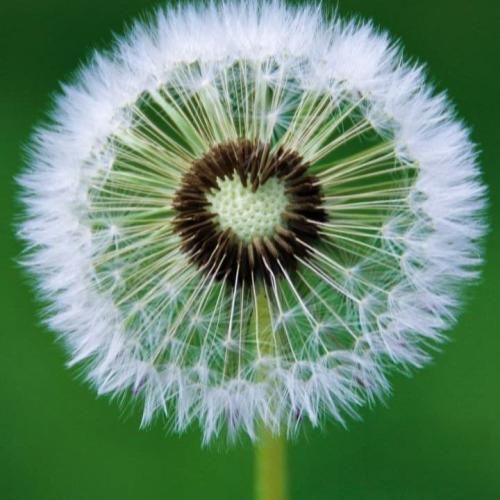   این امپراطوری بازم کلان پیچیده توی کوچه