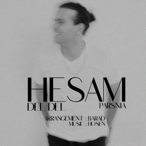 حسام پارس نیا دل دل