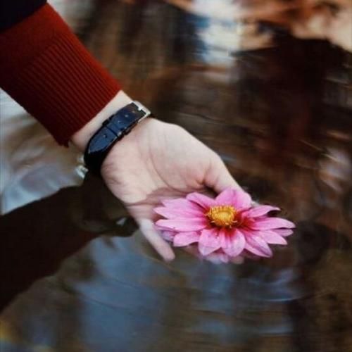 تهران میده حال شبامون روشن هلالیه ماه