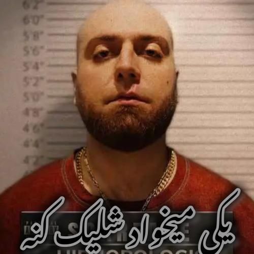 هیپهاپولوژیست یکی میخواد شلیک کنه