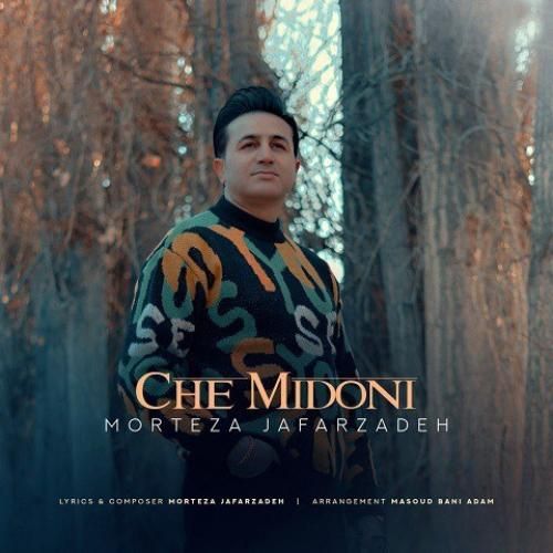 مرتضی جعفرزاده چه میدونی