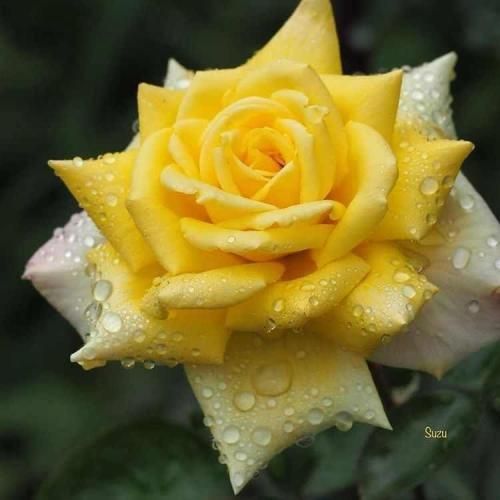  اتل متل توتوله شما دوست پسرت چجوره