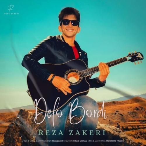 رضا ذاکری دلو بردی