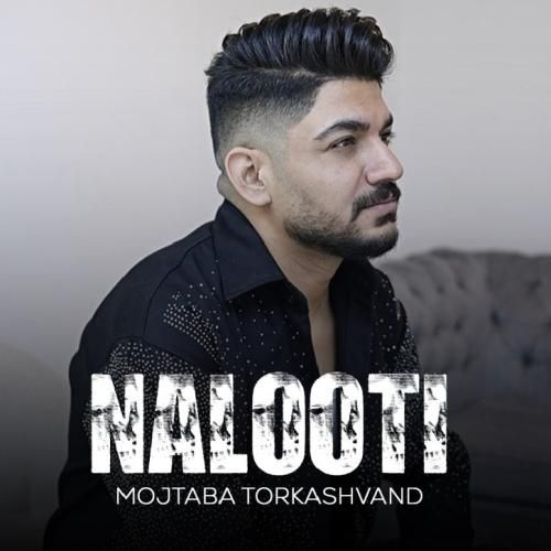  مجتبی ترکاشوند نالوطی