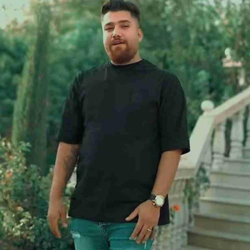 حامد سنجابی مصرف