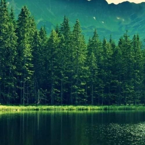  تو که نیستی کنار من هوای شهر دلگیره