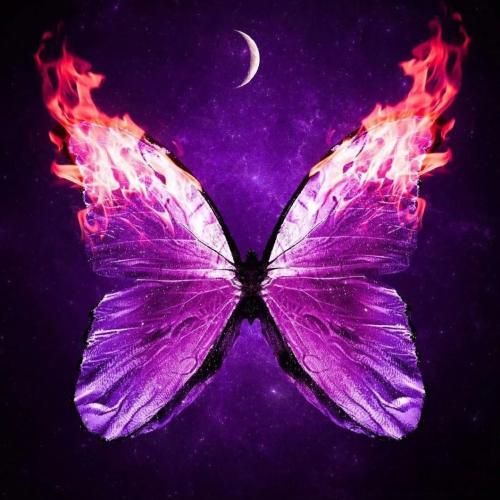 دست من آلوده به گناه به دست من نگاه نکن