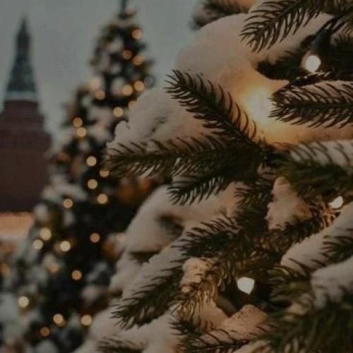 بریم یه جای دور ما رو پیدامون نکنن و ندونه کسی اسمامون