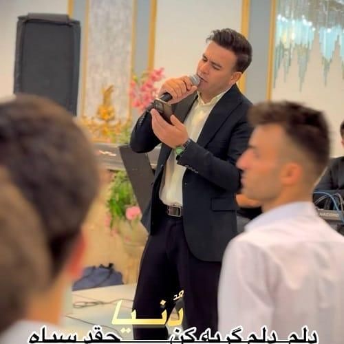 بهنام دولت دلم دلم گریه کن دنیا چقدر سیاه