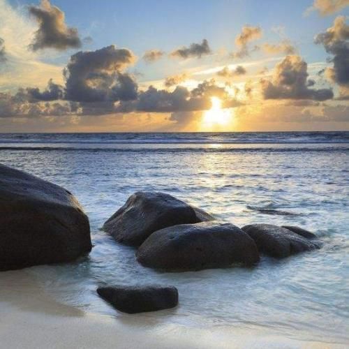 یه برادر زاده داره بهش میگن عمه خراب