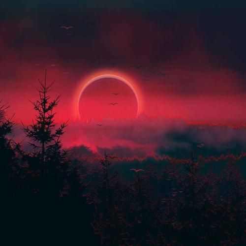 سرشانه سرشانه لرزانه لرزانه شده می خانه