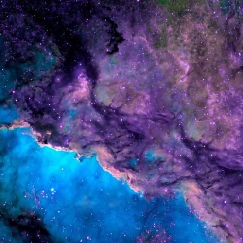 بزن زنگ بم دلم تنگه واسه چشمات بی معرفت