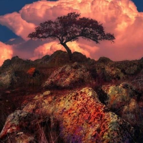 نور خورشید تو چشمات میکنم عشق باهات