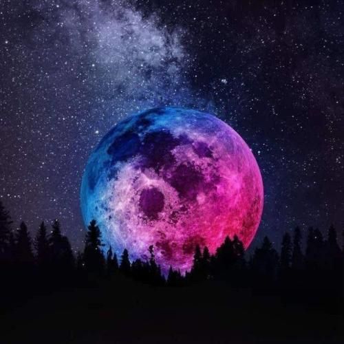 بودی پیشم تا وقتی بود همه چی به نفعت