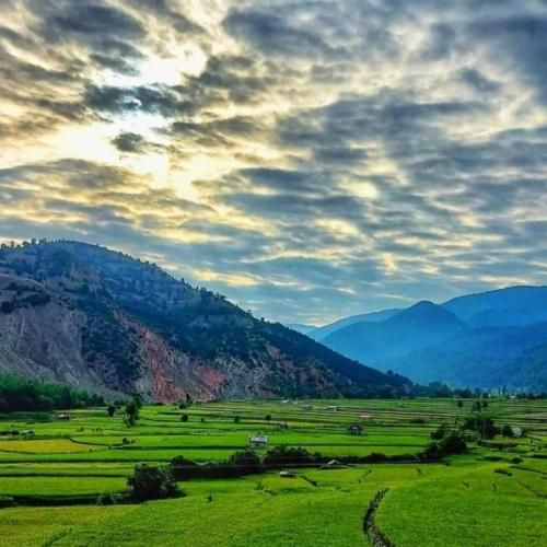 سلامتی هرکی موند پیشم همه چی رواله خوبه روحیم