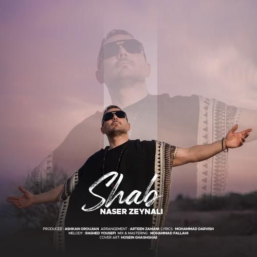 ناصر زینعلی شب