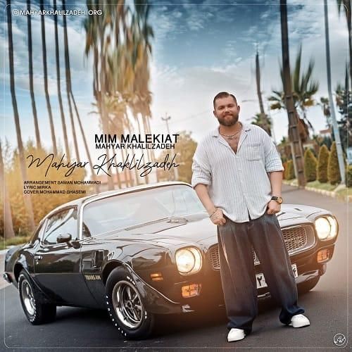 مهیار خلیل زاده میم‌ مالکیت