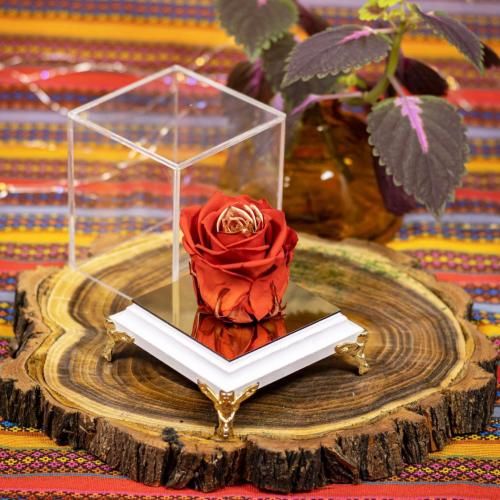 به کوری چشمتون بازی دست من یا کوریه