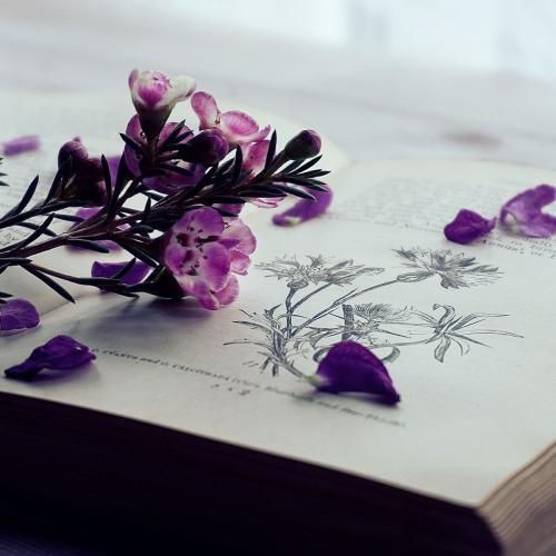 بودنت واجبه دارم احتیاج بهش برد با تو قطعی