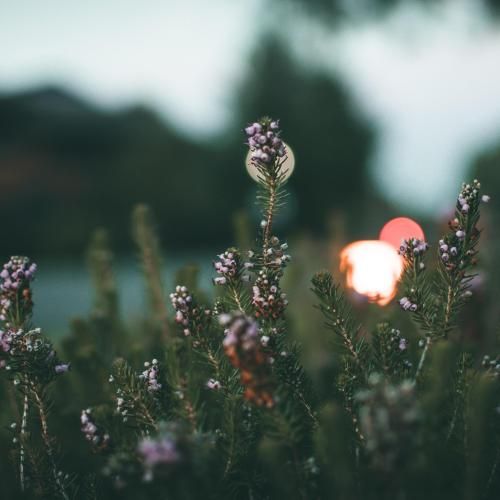 فهمیدم عاشقتم تو روم و پاریس فکر کردم راهی