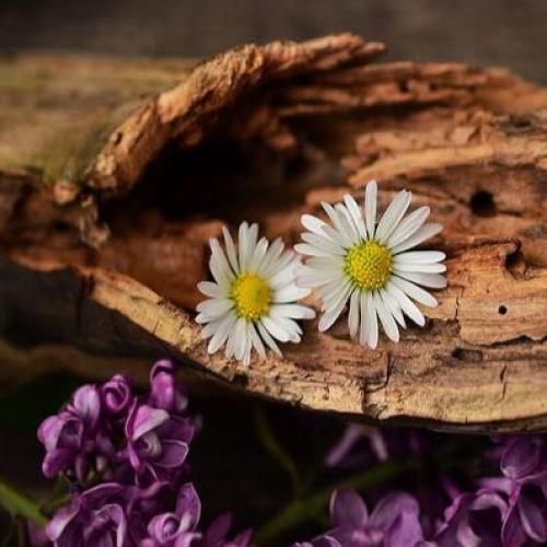 دانلود آهنگ من قلبتو دیدم و حتی قبل این که در بیاد پیرهن