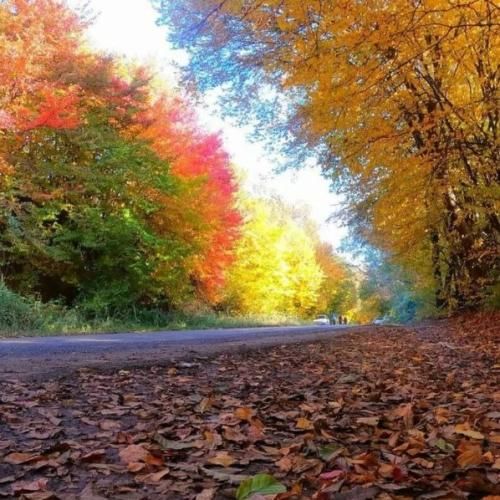 هنوزم یه تار موتو به دنیا نمیدم هوش مصنوعی