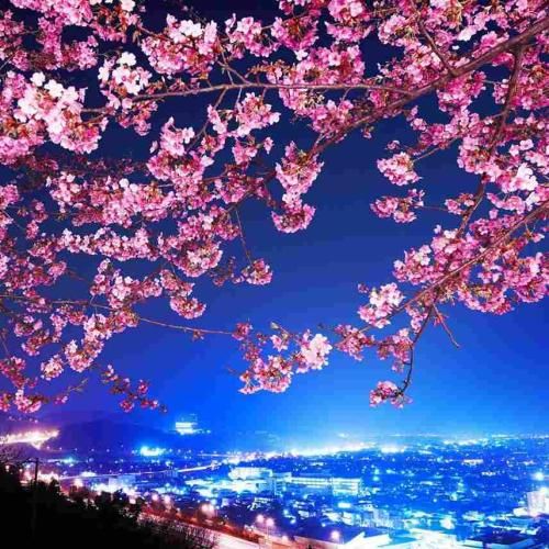 الان بیکار شل و ول من تو بالکنم پس پاک میکنم