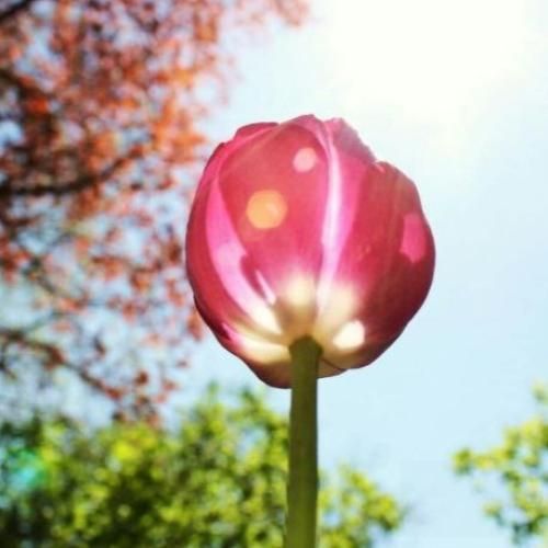 ورساچی سته مشکی آبی دیلرمم ترکیه س مرسی آبی