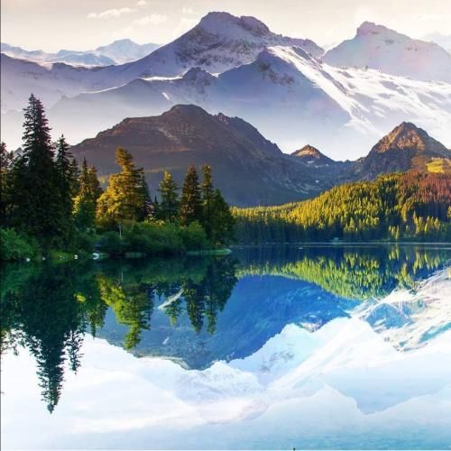 نازلی مکفیان واو