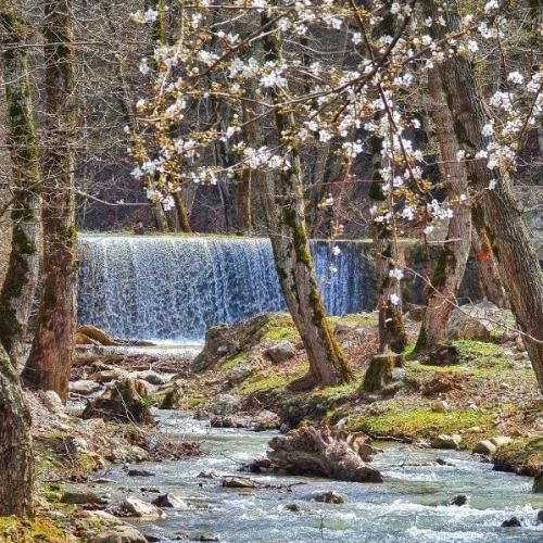 الان هرکی زنگ میزنه میگم کار دارم