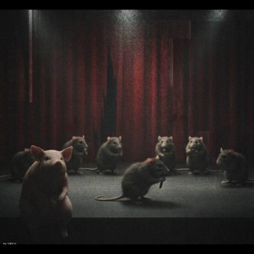 دانیال چکی 2