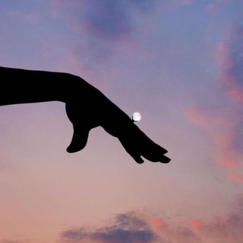 اوضاعم به کام نی بیرانونده زیر تیغم نمیشم مثل تابنده