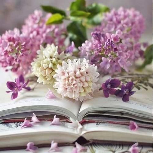 آخه من باید چقد برم چقد بیام حال میداد با تو کریسمسم