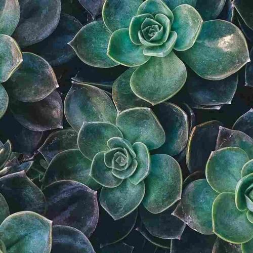 دانلود ریمیکس سخته واقعا دروغه بگم رفته یادم با صدای زن