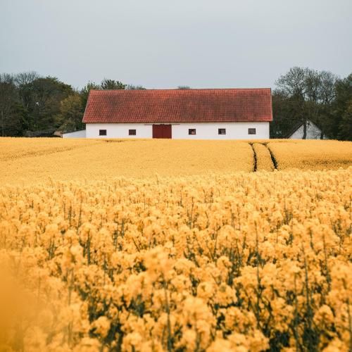 نه تو جمعیت خوبم نه توی تنهایی