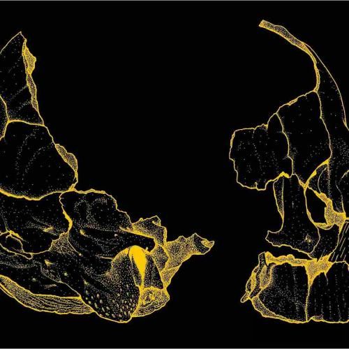دانلود آهنگ خودمو سپردم به خدا که قصمو از بره